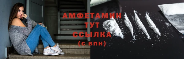 шишки Переславль-Залесский