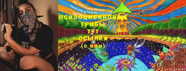 спиды Пестово