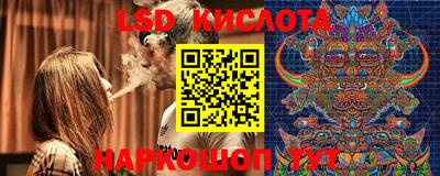 эйфоретик Аргун