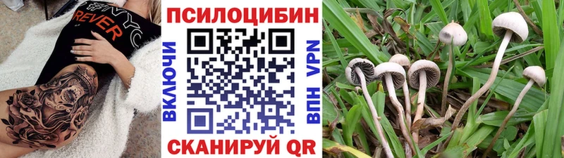 Псилоцибиновые грибы прущие грибы  Белореченск 