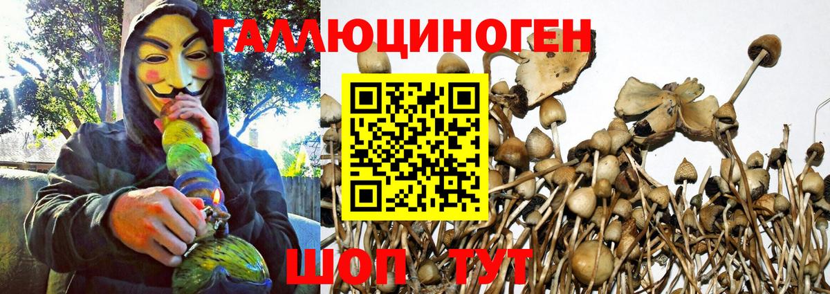 Галлюциногенные грибы мицелий Белореченск